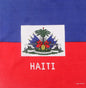 Haitian Flag Small