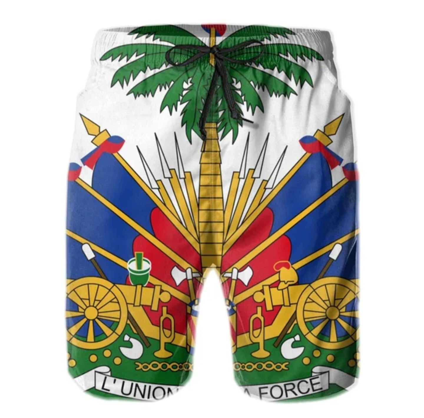 White 3D Print Men's Haiti Full Crest Flag Shorts
