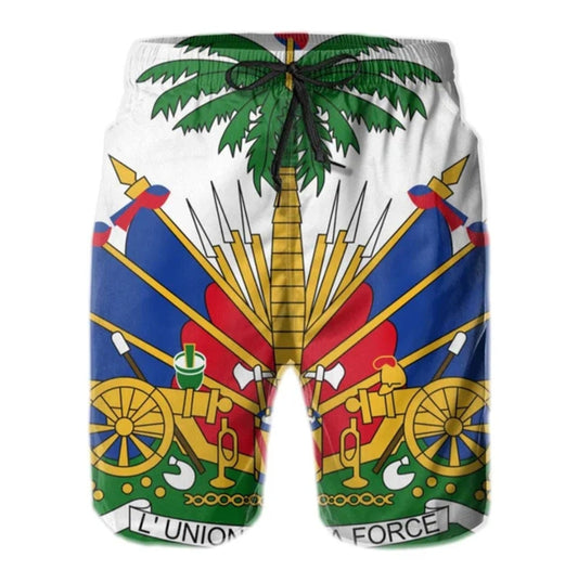 White 3D Print Men's Haiti Full Crest Flag Shorts